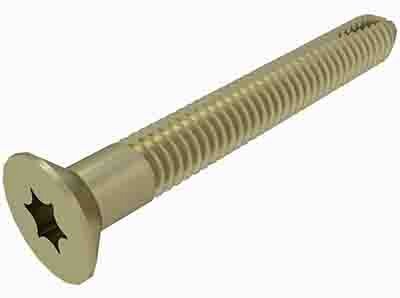 BCP21003 M8 Torx Head Self Tapping Floor Screws