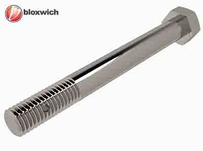 BCSP15121 Stainless Steel Hinge Bolt 1/2