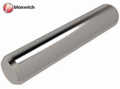 BCP16051-003 Ø20 Stainless Steel Hinge Pin 101mm