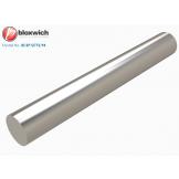 BCSP12272/94 Dia 12.7 Stainless Steel Hinge Pins 94mm - view 1