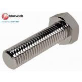 BCSP14887 Stainless Steel Set Screw M10 x 35 - view 1