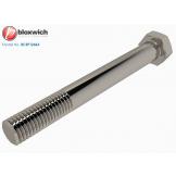 BCSP12463 Stainless Steel Hinge Bolt M12 - view 1