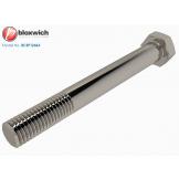 BCSP12463 Stainless Steel Hinge Bolt M12 x 100 - view 1